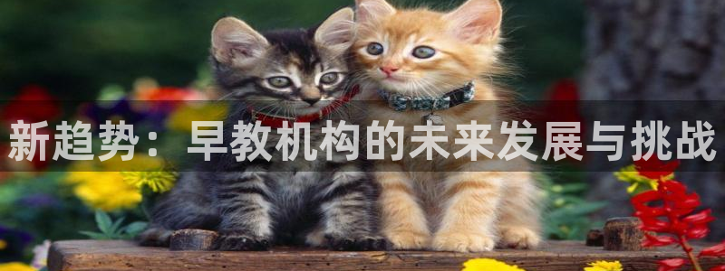天狮娱乐平台是赌博吗：新趋势：早教机构的未来发展与挑战