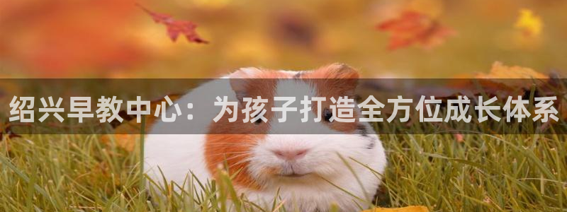 天狮娱乐代理注册：绍兴早教中心：为孩子打造全方位成长体系