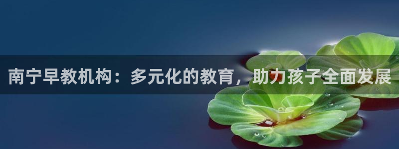 天狮娱乐q：南宁早教机构：多元化的教育，助力孩子全面发展