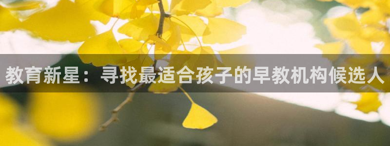 天狮娱乐平台注册：教育新星：寻找最适合孩子的早教机构候选人