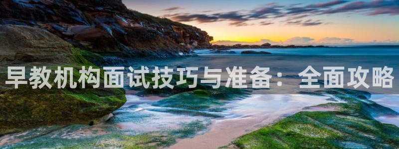 天狮娱乐 卧j主管60447：早教机构面试技巧与准备：全面攻略