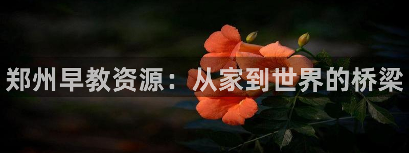 天狮娱乐负责人：郑州早教资源：从家到世界的桥梁