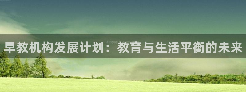 天狮娱乐主招商：早教机构发展计划：教育与生活平衡的未来