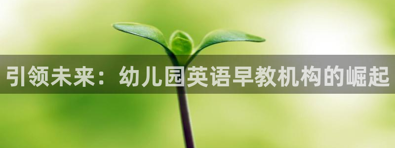 天狮娱乐主管191166薇星h：引领未来：幼儿园英语早教机构的崛起