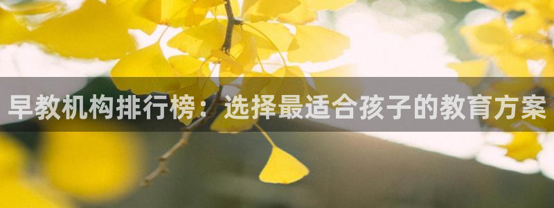 天狮娱乐直招64681：早教机构排行榜：选择最适合孩子的教育方案