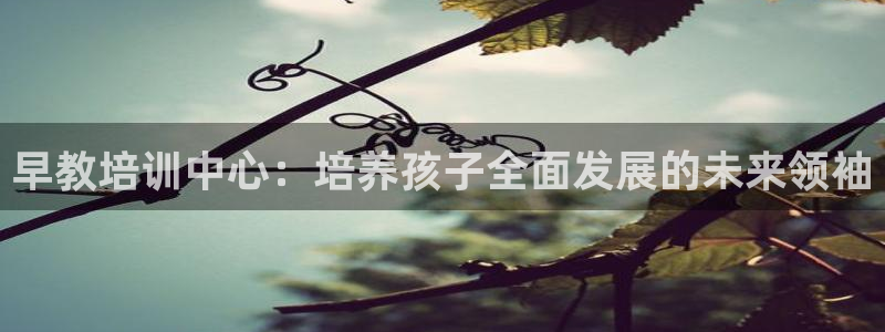 天狮娱乐怎样下载：早教培训中心：培养孩子全面发展的未来领袖
