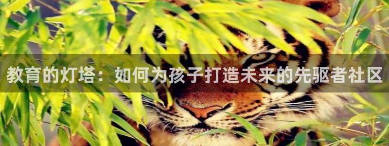 天狮娱乐950954：教育的灯塔：如何为孩子打造未来的先驱者社区