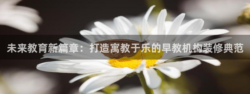 天狮源娱乐平台注册：未来教育新篇章：打造寓教于乐的早教机构装修典范