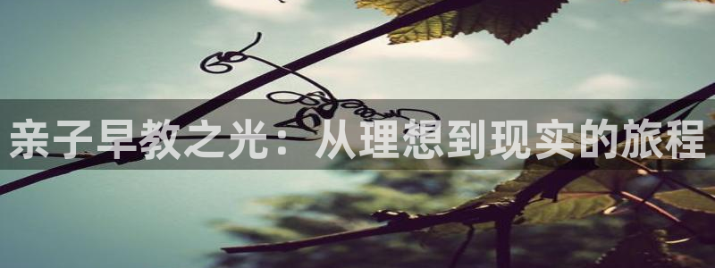 天狮娱乐平台作弊：亲子早教之光：从理想到现实的旅程