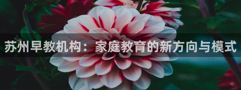 天狮娱乐购彩平台：苏州早教机构：家庭教育的新方向与模式