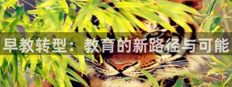 天狮娱乐运营29229：早教转型：教育的新路径与可能
