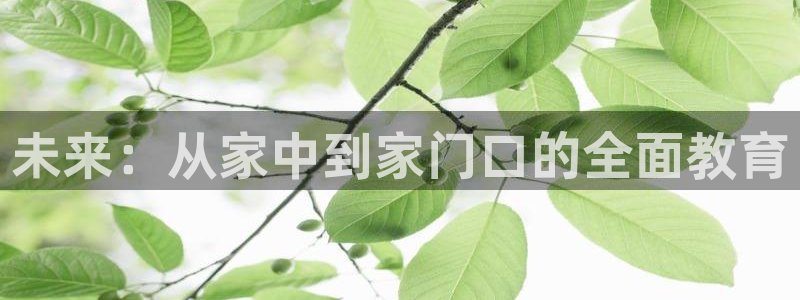 天狮娱乐 接待 0：未来：从家中到家门口的全面教育