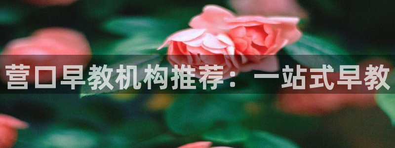 天狮娱乐主管82104：营口早教机构推荐：一站式早教