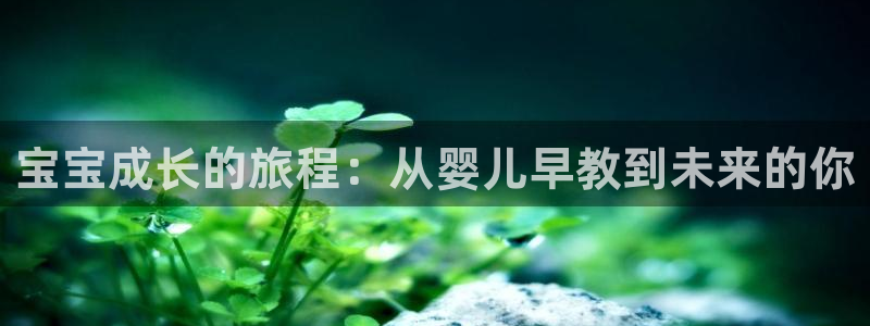 天狮娱乐股东：宝宝成长的旅程：从婴儿早教到未来的你