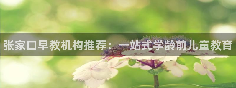 天狮娱乐购彩平台：张家口早教机构推荐：一站式学龄前儿童教育