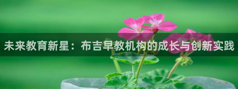 天狮娱乐网站：未来教育新星：布吉早教机构的成长与创新实践
