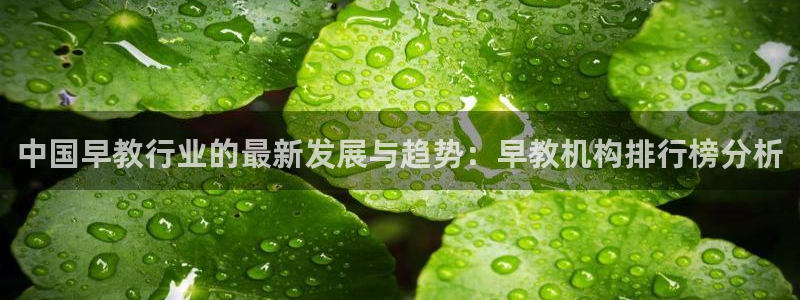 天狮娱乐k开户72 226主 管：中国早教行业的最新发展与趋势：早教机构排行榜分
