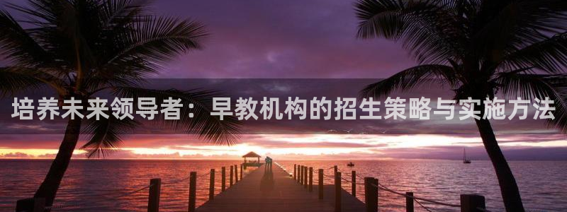 天狮娱乐股东36633：培养未来领导者：早教机构的招生策略与实施方法
