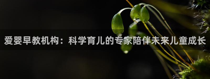 天狮娱乐app下载：爱婴早教机构：科学育儿的专家陪伴未来儿童成长