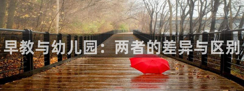 天狮娱乐无法登录怎么办：早教与幼儿园：两者的差异与区别