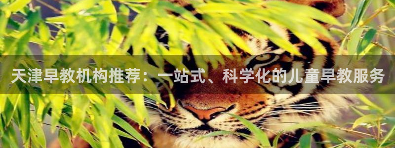 天狮娱乐工资：天津早教机构推荐：一站式、科学化的儿童早教服务