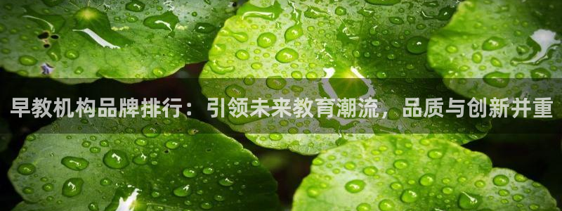 天狮娱乐 amp u招商35980：早教机构品牌排行：引领未来教育潮流，品质与创