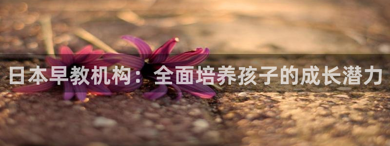 天狮娱乐专线：日本早教机构：全面培养孩子的成长潜力