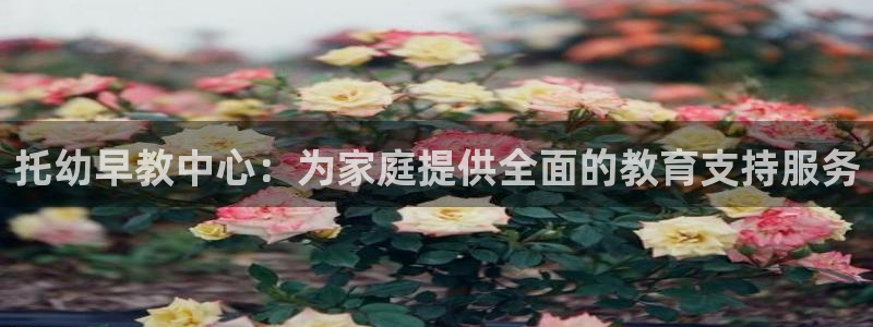 天狮娱乐注册开户：托幼早教中心：为家庭提供全面的教育支持服务