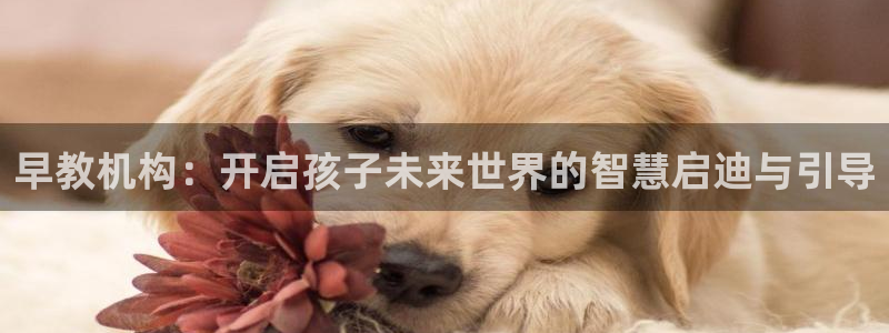 天狮娱乐36633股东：早教机构：开启孩子未来世界的智慧启迪与引导
