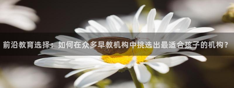 天狮娱乐 招商扣：前沿教育选择：如何在众多早教机构中挑选出最适合孩子的机构？