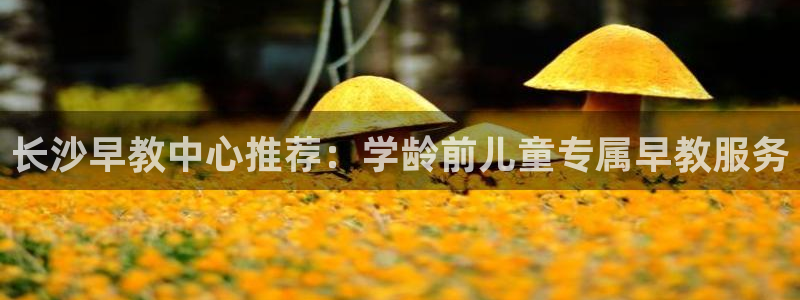 天狮娱乐注册官方网站：长沙早教中心推荐：学龄前儿童专属早教服务