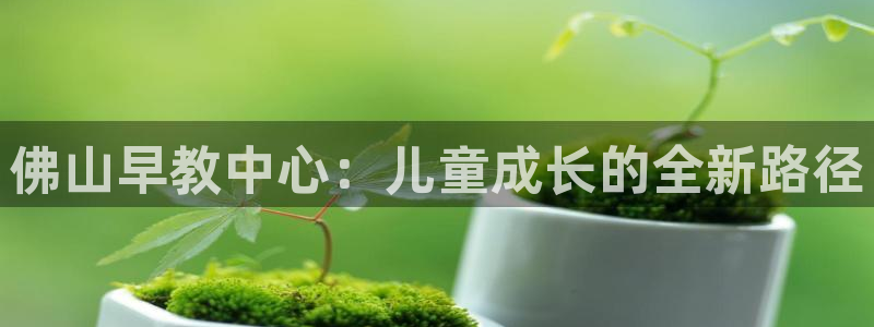 天狮娱乐年：佛山早教中心：儿童成长的全新路径