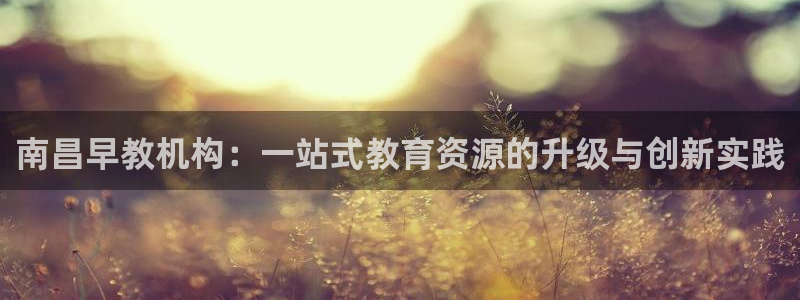 龙湖苏州狮山天街娱乐：南昌早教机构：一站式教育资源的升级与创新实践