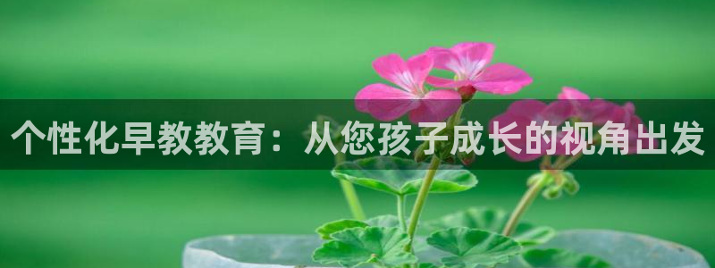 天狮娱乐 a内部29229：个性化早教教育：从您孩子成长的视角出发