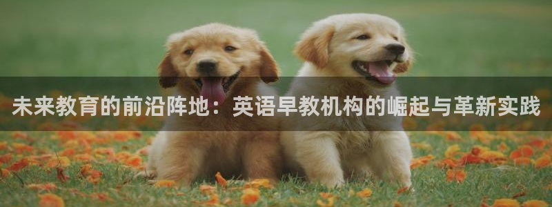 天狮娱乐彩票玩法：未来教育的前沿阵地：英语早教机构的崛起与革新实践