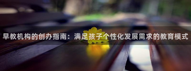 天狮娱乐专线：早教机构的创办指南：满足孩子个性化发展需求的教育模式