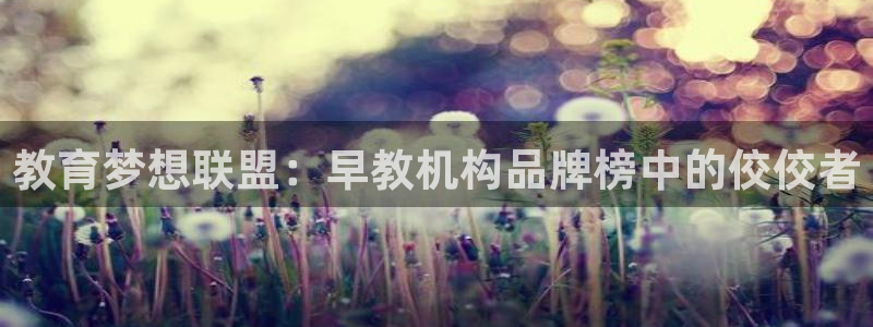 天狮娱乐主管29229：教育梦想联盟：早教机构品牌榜中的佼佼者