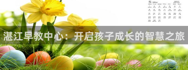 天狮娱乐q 去108-306：湛江早教中心：开启孩子成长的智慧之旅