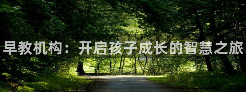 天狮娱乐网站：早教机构：开启孩子成长的智慧之旅